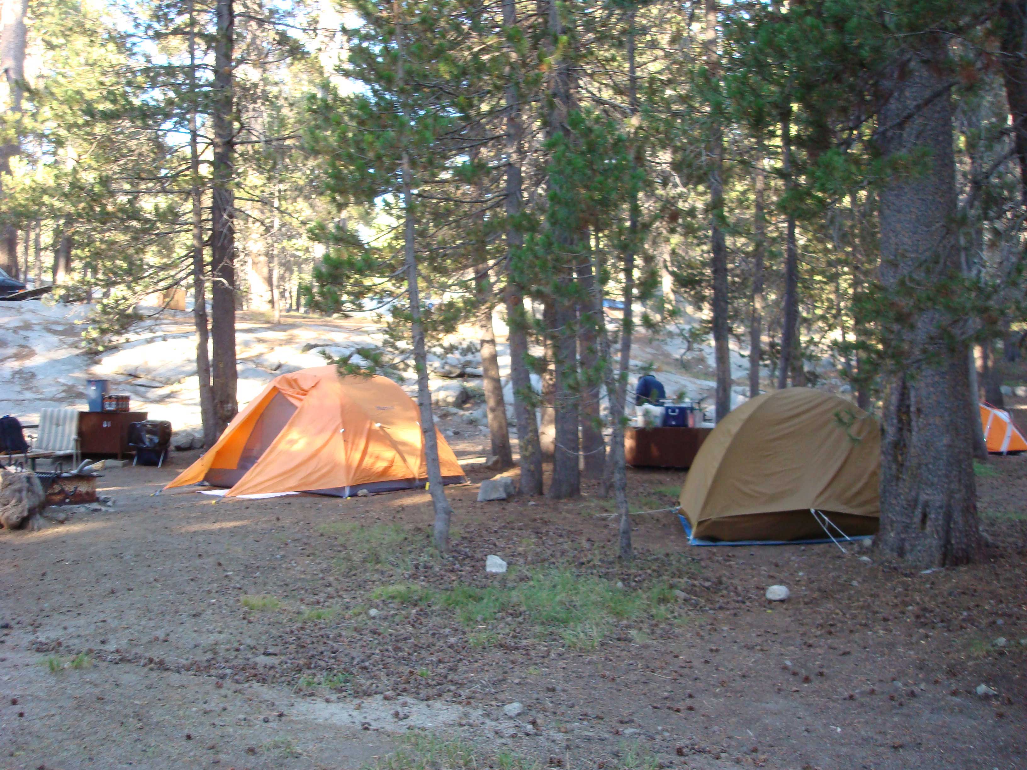 Yosemite 2010