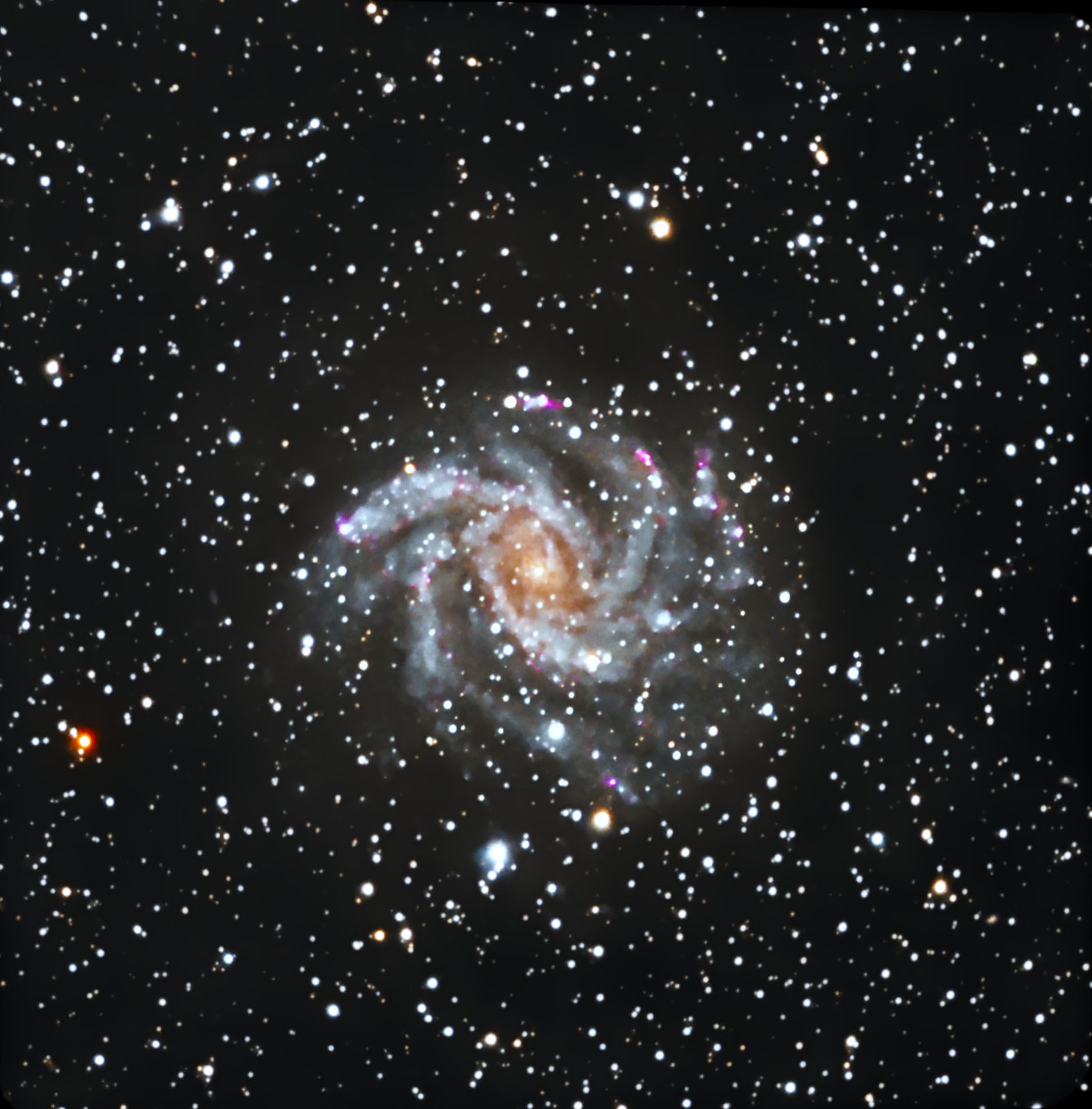 NGC 6946
        - The Fireworks Galaxy
